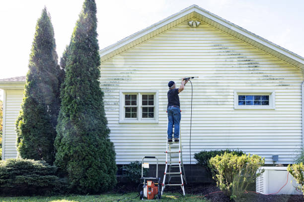 Best Parking Lot and Garage Cleaning  in Sikeston, MO